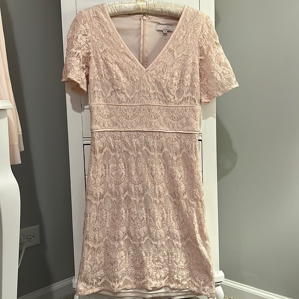 Adrianna Papell Lace Short Sleeve Pink Dress